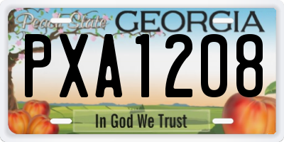 GA license plate PXA1208