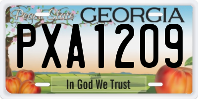 GA license plate PXA1209