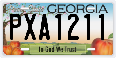 GA license plate PXA1211