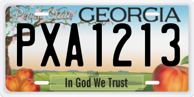 GA license plate PXA1213