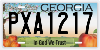 GA license plate PXA1217