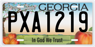 GA license plate PXA1219