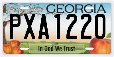 GA license plate PXA1220