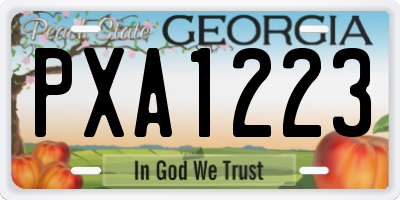 GA license plate PXA1223