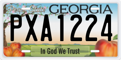 GA license plate PXA1224