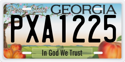 GA license plate PXA1225