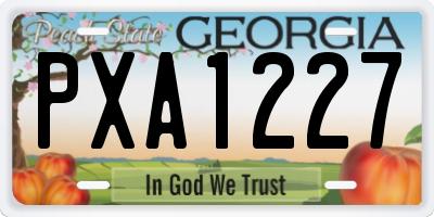 GA license plate PXA1227