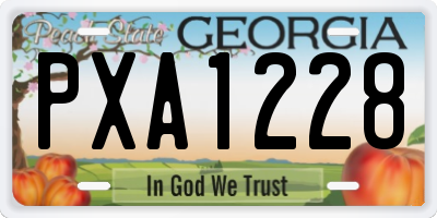 GA license plate PXA1228