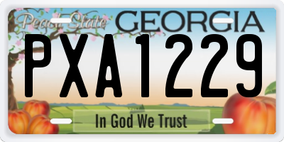GA license plate PXA1229