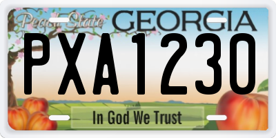 GA license plate PXA1230