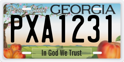 GA license plate PXA1231