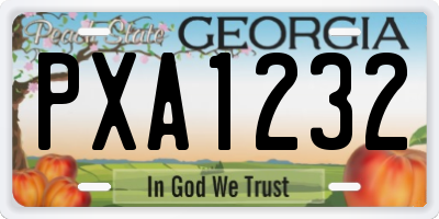 GA license plate PXA1232