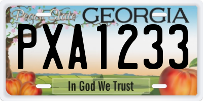 GA license plate PXA1233