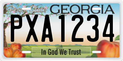GA license plate PXA1234
