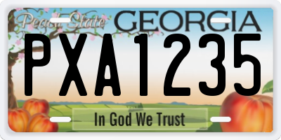 GA license plate PXA1235