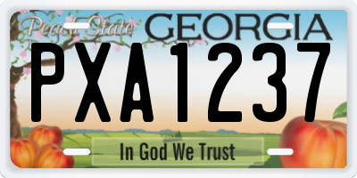 GA license plate PXA1237