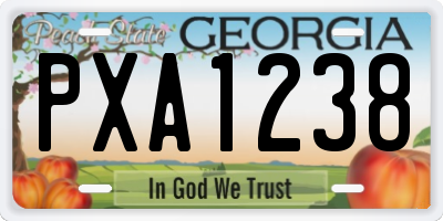 GA license plate PXA1238