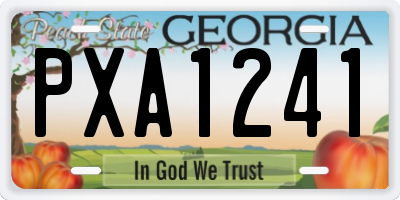 GA license plate PXA1241