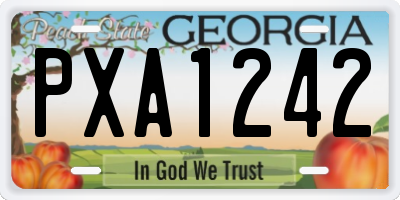 GA license plate PXA1242