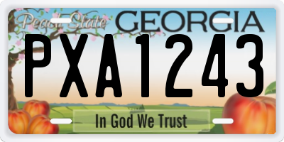 GA license plate PXA1243