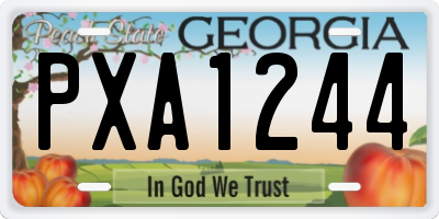 GA license plate PXA1244