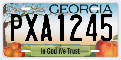 GA license plate PXA1245