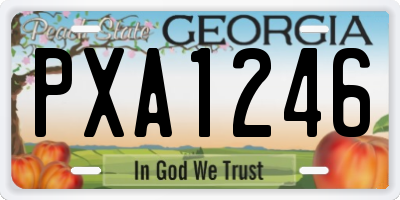 GA license plate PXA1246
