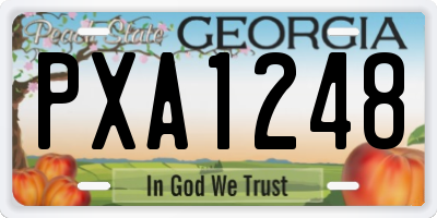 GA license plate PXA1248