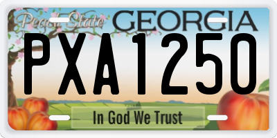 GA license plate PXA1250