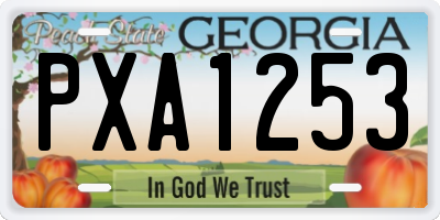 GA license plate PXA1253
