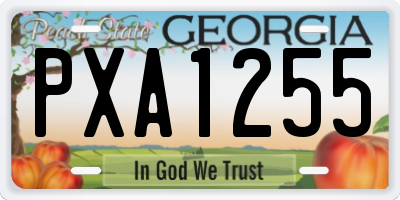 GA license plate PXA1255