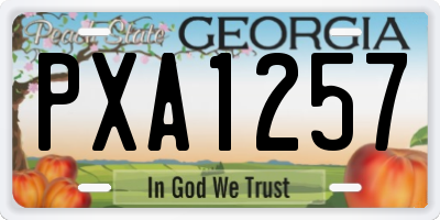 GA license plate PXA1257