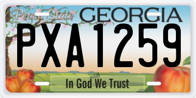GA license plate PXA1259