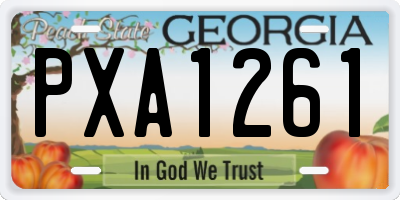 GA license plate PXA1261