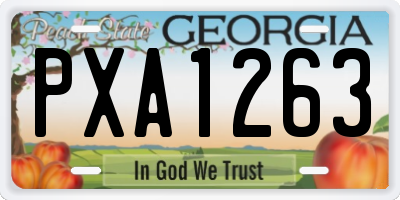 GA license plate PXA1263