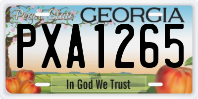 GA license plate PXA1265