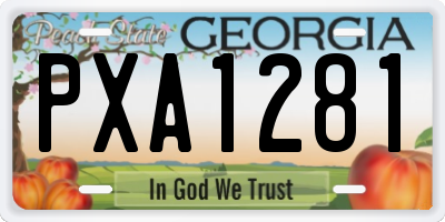 GA license plate PXA1281