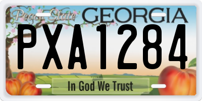 GA license plate PXA1284
