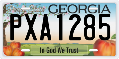GA license plate PXA1285