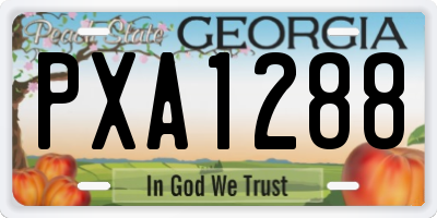 GA license plate PXA1288