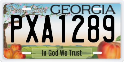 GA license plate PXA1289