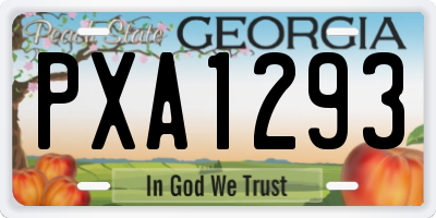 GA license plate PXA1293