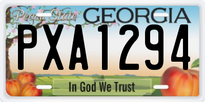 GA license plate PXA1294