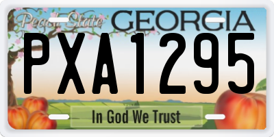 GA license plate PXA1295