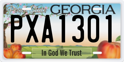 GA license plate PXA1301