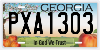 GA license plate PXA1303