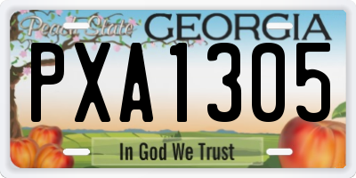 GA license plate PXA1305