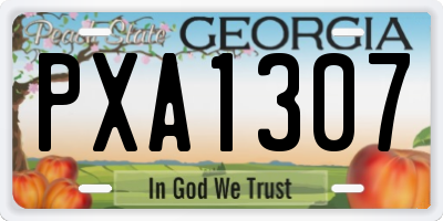 GA license plate PXA1307