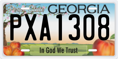 GA license plate PXA1308