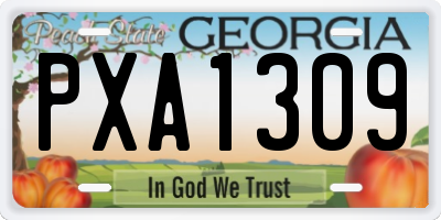 GA license plate PXA1309